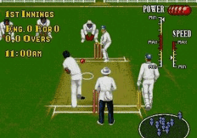 Brian Lara Cricket Screenshot 1